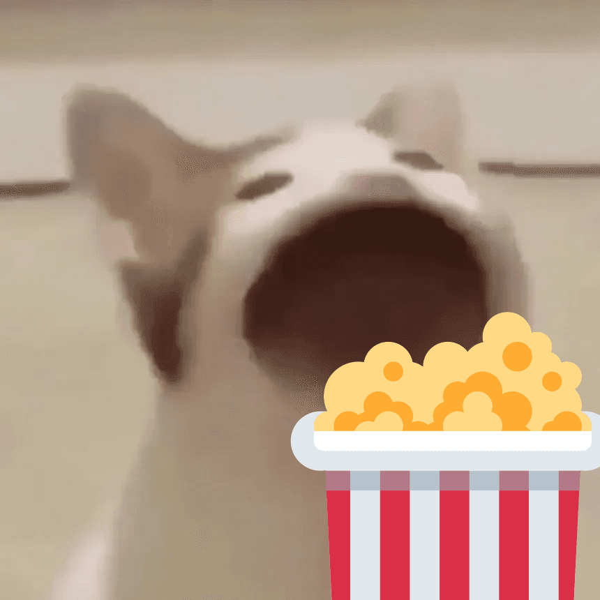 Pipocas